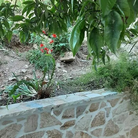 Akrotiri Nocleg ze śniadaniem