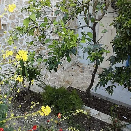 Akrotiri 3* Василики