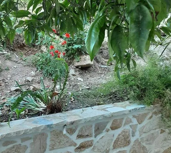 Akrotiri Bed & Breakfast