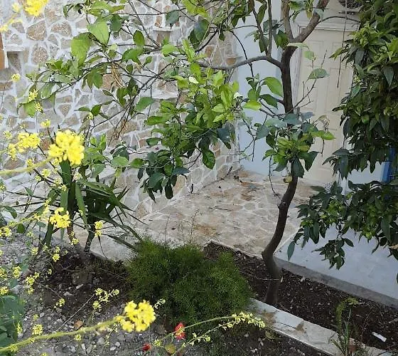 Akrotiri 3* Βασιλική