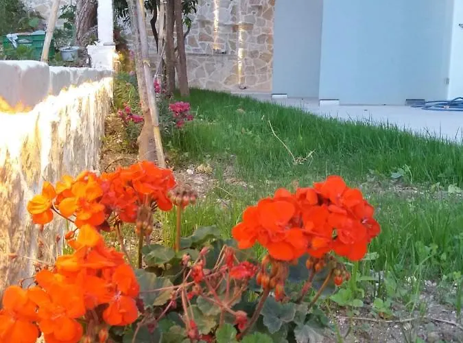 Bed and Breakfast Akrotiri Βασιλική